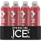 Sparkling Ice Sparkling Ice Strawberry Watermelon 17 oz., PK12 FG00067 - alternate 10